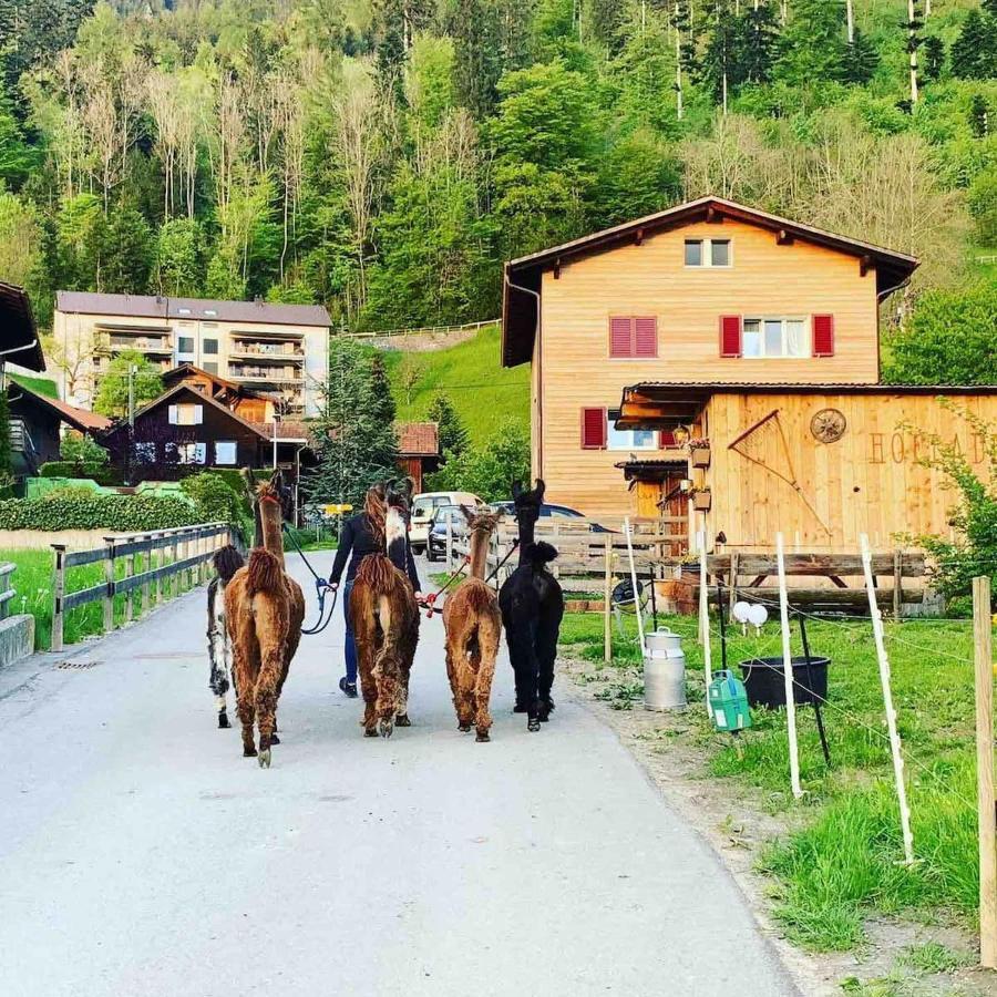 Jurte Beim Lama- & Alpakahof Triesenberg Hotel Bagian luar foto