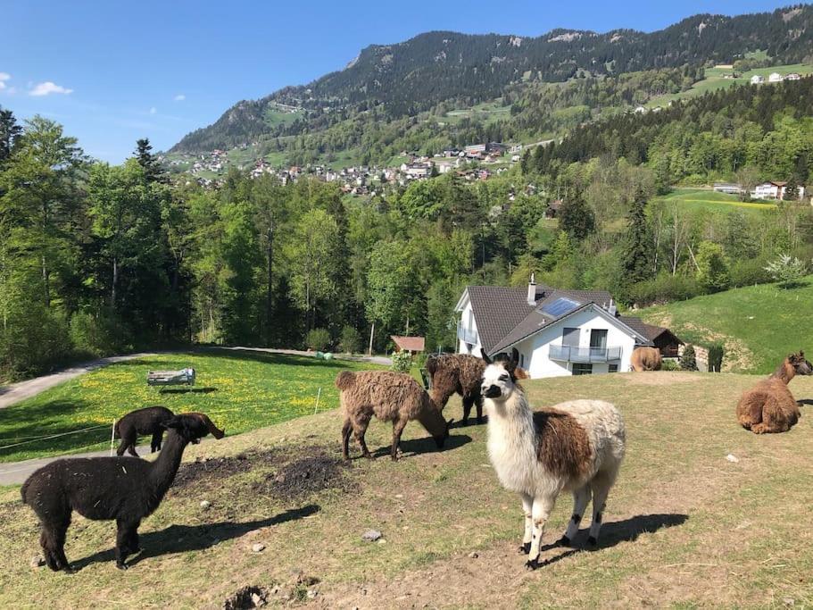 Jurte Beim Lama- & Alpakahof Triesenberg Hotel Bagian luar foto